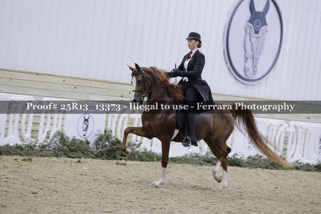 Proof Number 25R13_13373