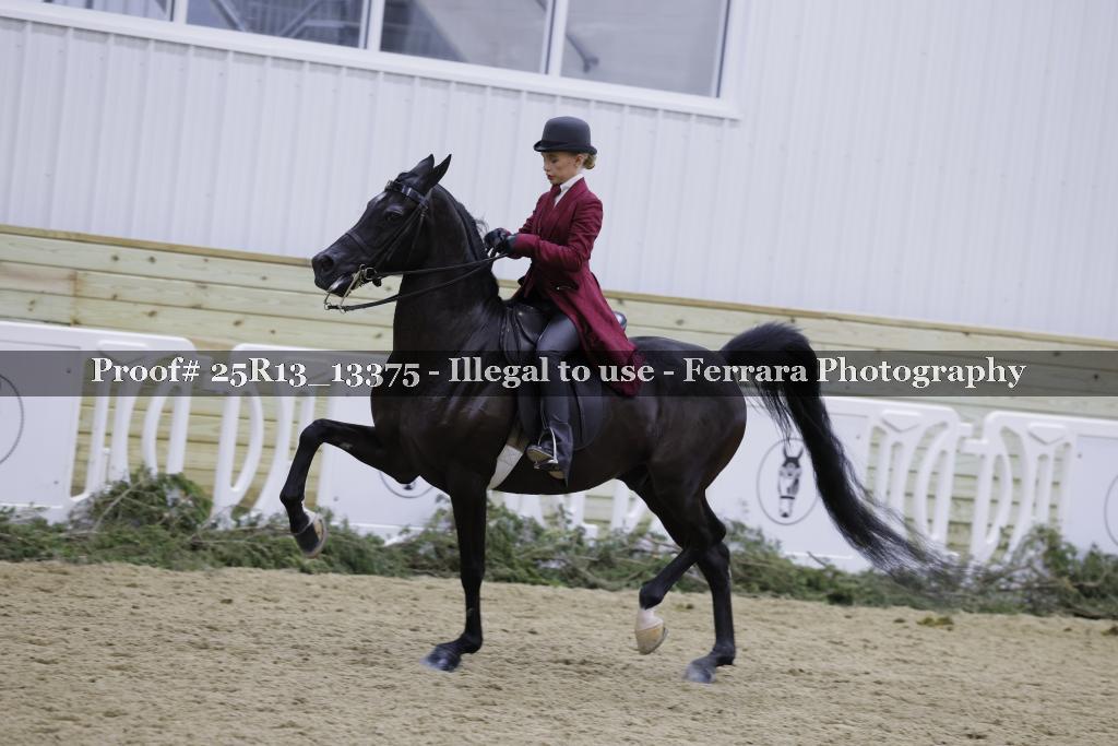 Proof Number 25R13_13375