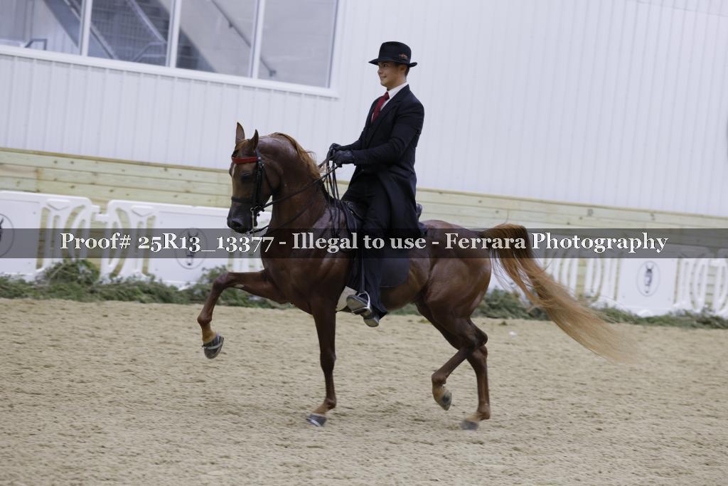 Proof Number 25R13_13377