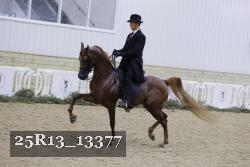 25R13_13377 thumbnail