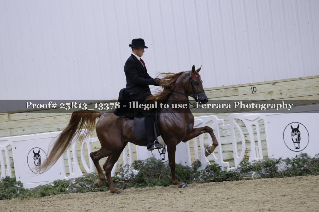 Proof Number 25R13_13378