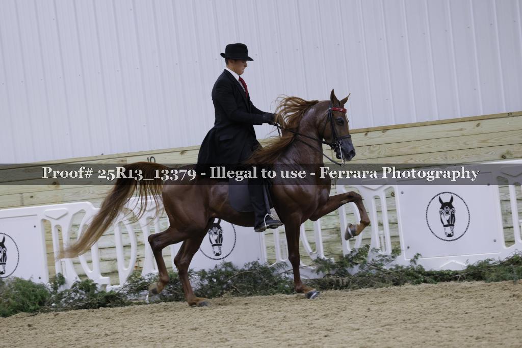 Proof Number 25R13_13379