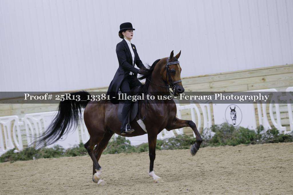 Proof Number 25R13_13381