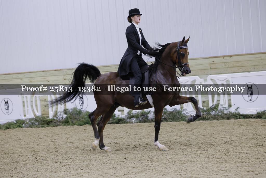 Proof Number 25R13_13382