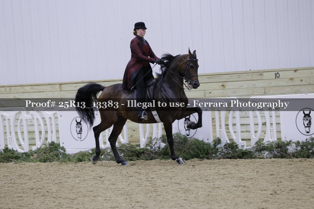 Proof Number 25R13_13383