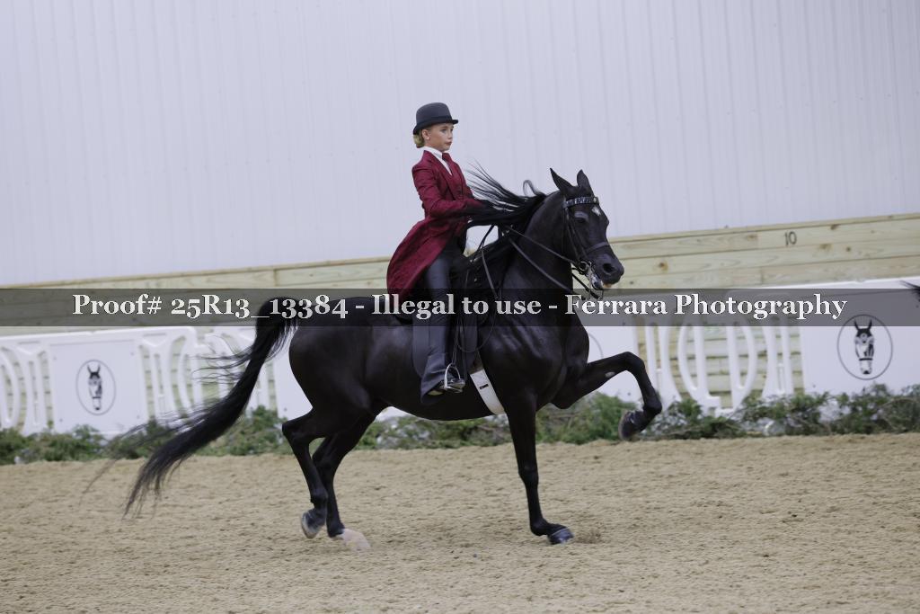 Proof Number 25R13_13384