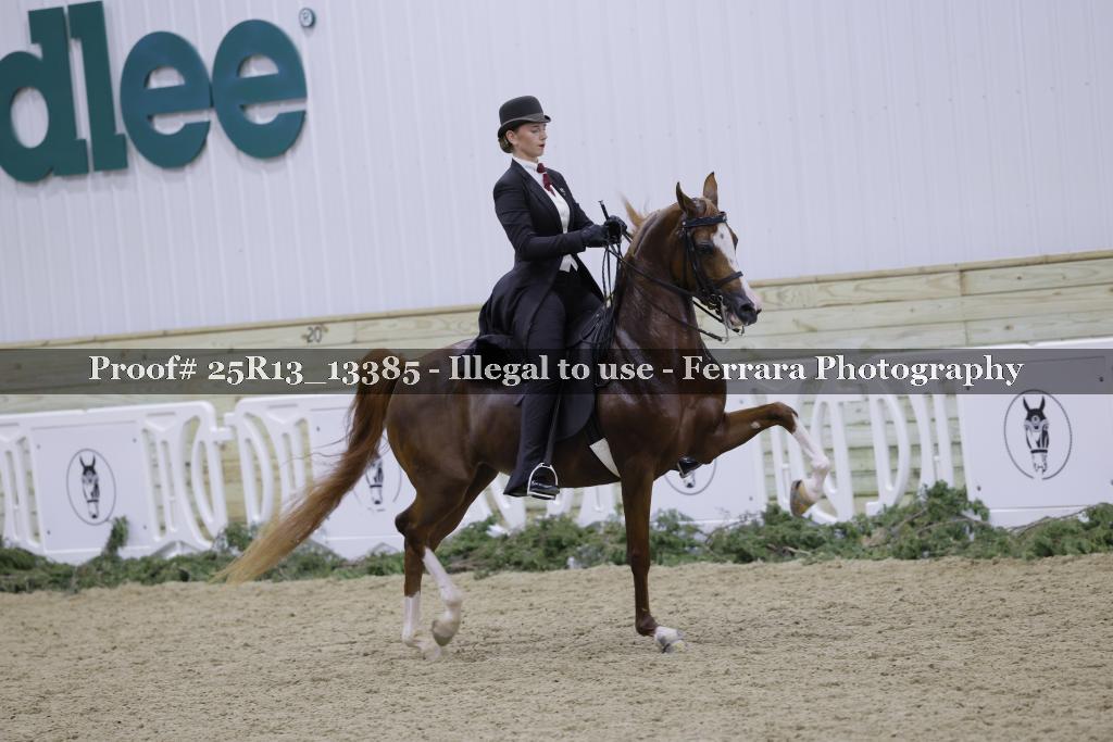 Proof Number 25R13_13385