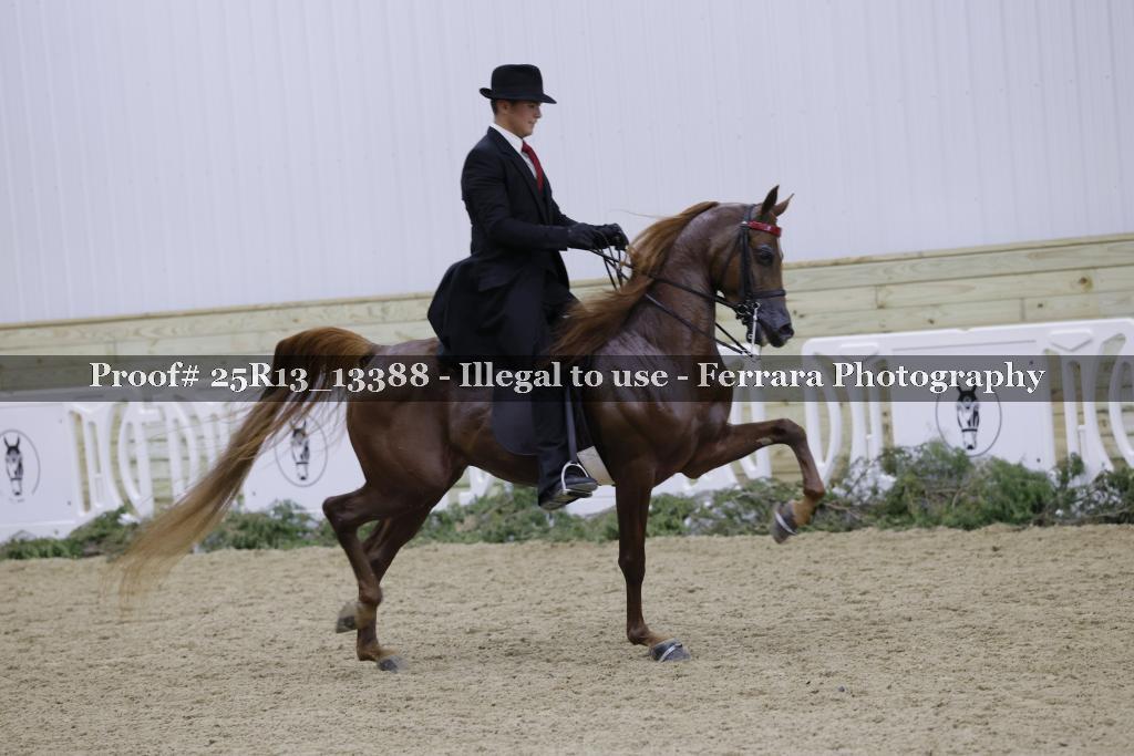 Proof Number 25R13_13388