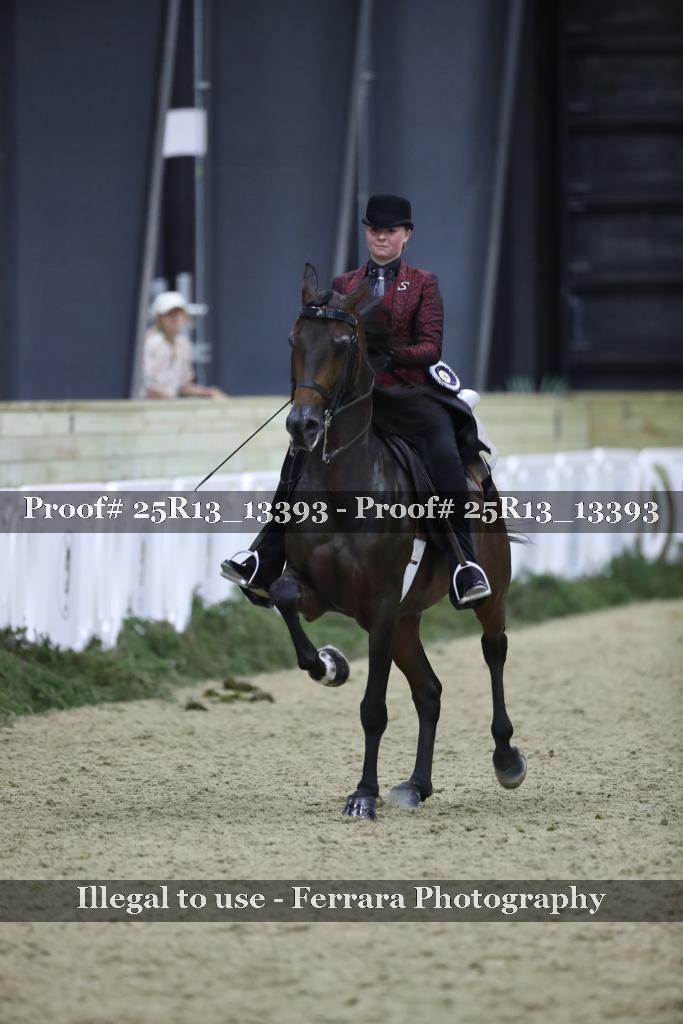 Proof Number 25R13_13393
