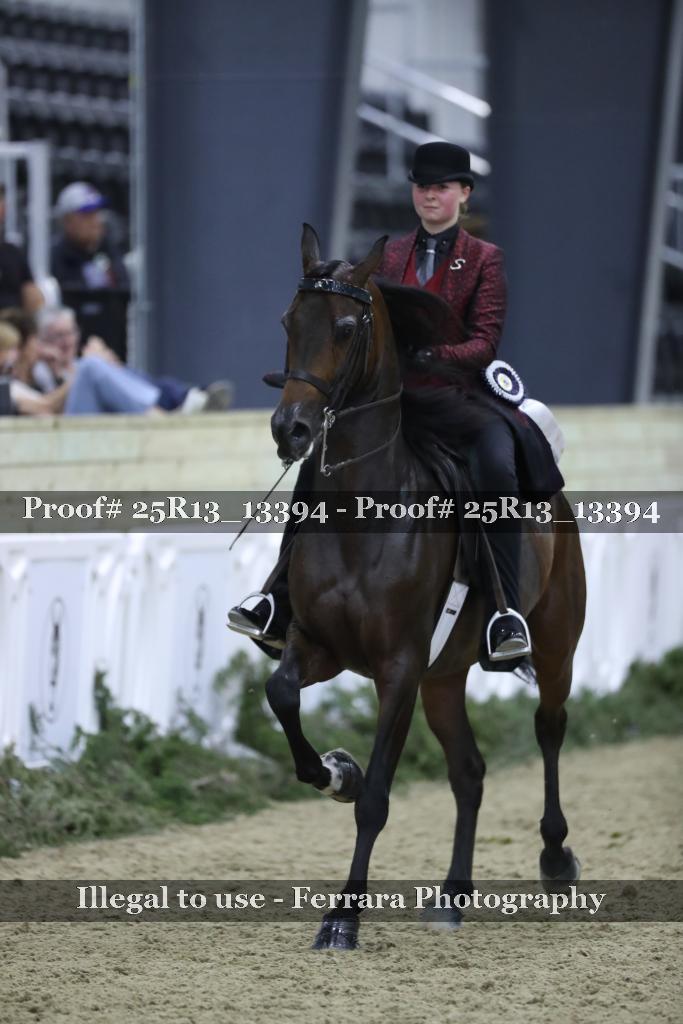 Proof Number 25R13_13394