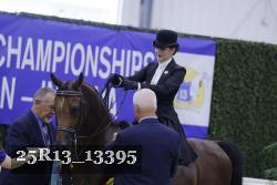 25R13_13395 thumbnail