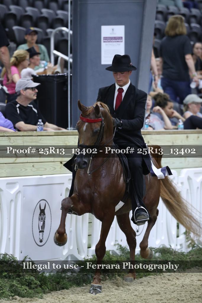 Proof Number 25R13_13402