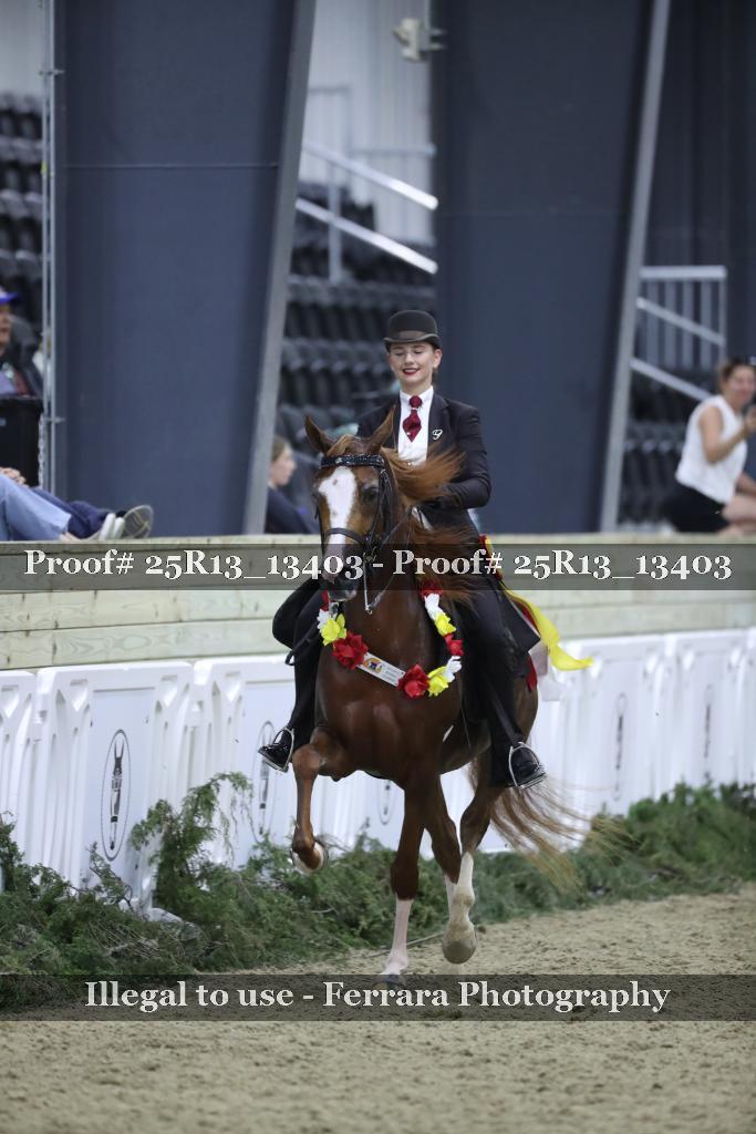 Proof Number 25R13_13403