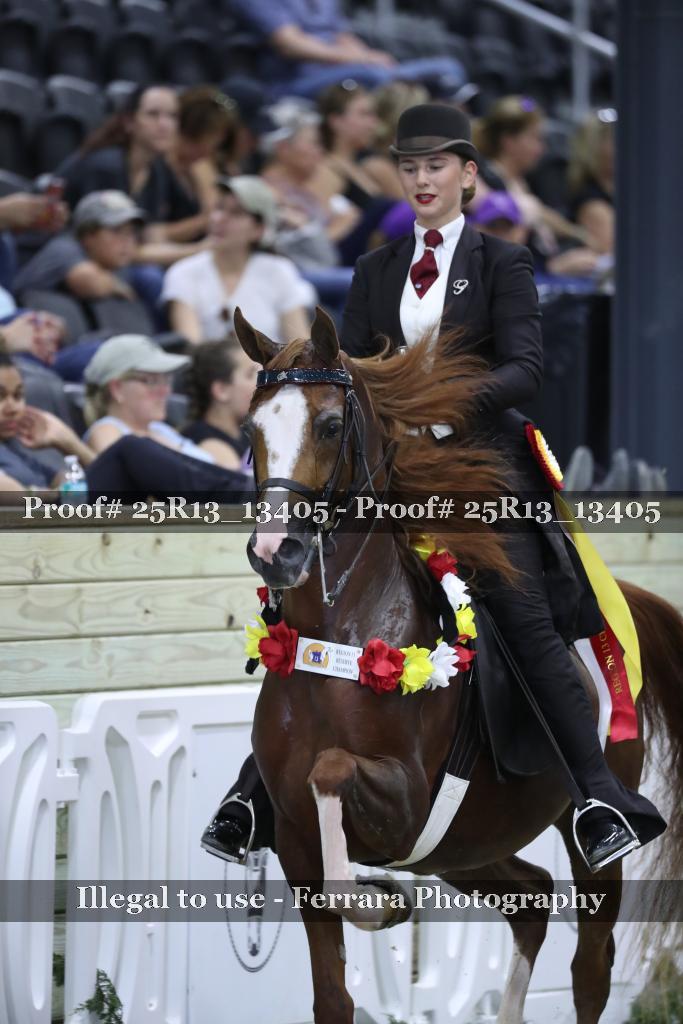 Proof Number 25R13_13405