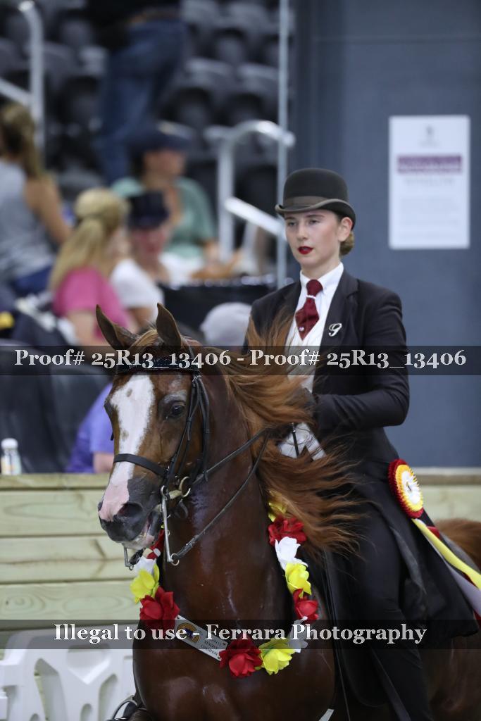 Proof Number 25R13_13406