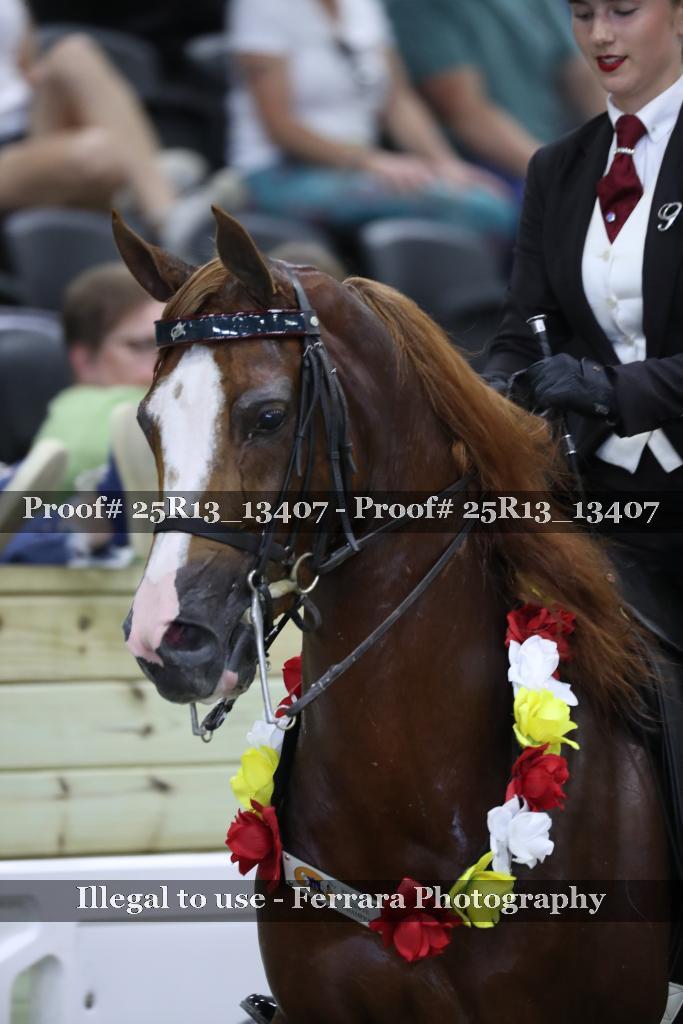 Proof Number 25R13_13407