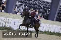 25R13_13408 thumbnail