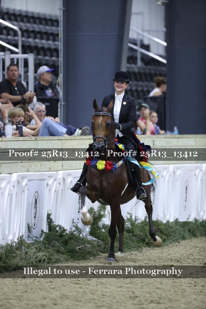 Proof Number 25R13_13412