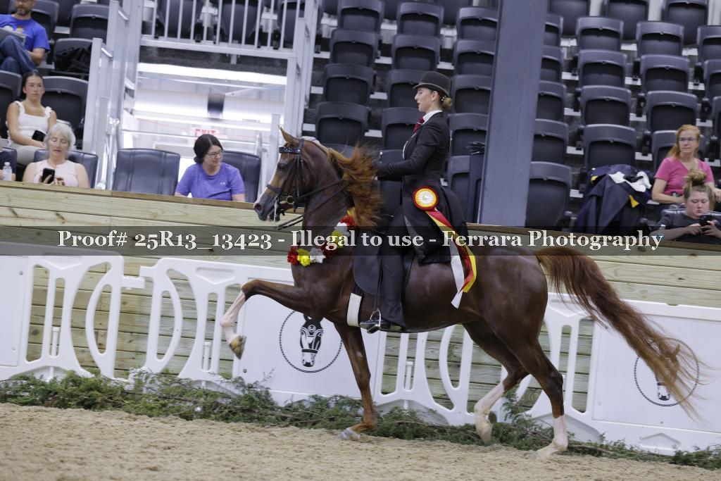 Proof Number 25R13_13423