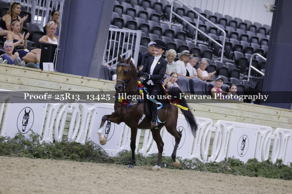 Proof Number 25R13_13425