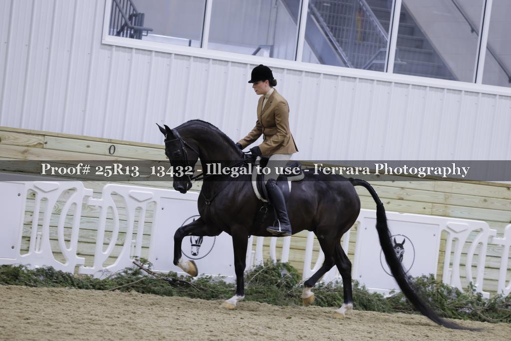 Proof Number 25R13_13432