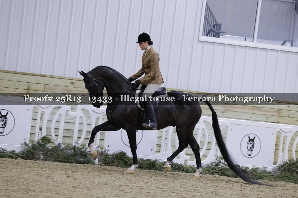 Proof Number 25R13_13433