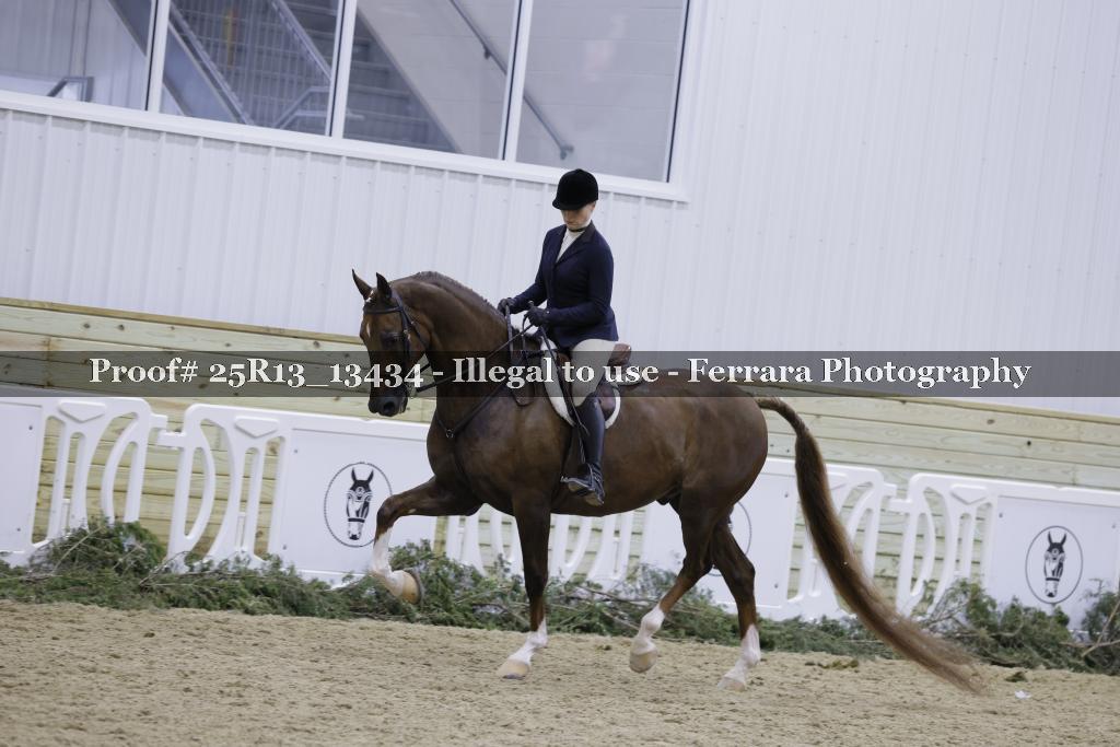 Proof Number 25R13_13434