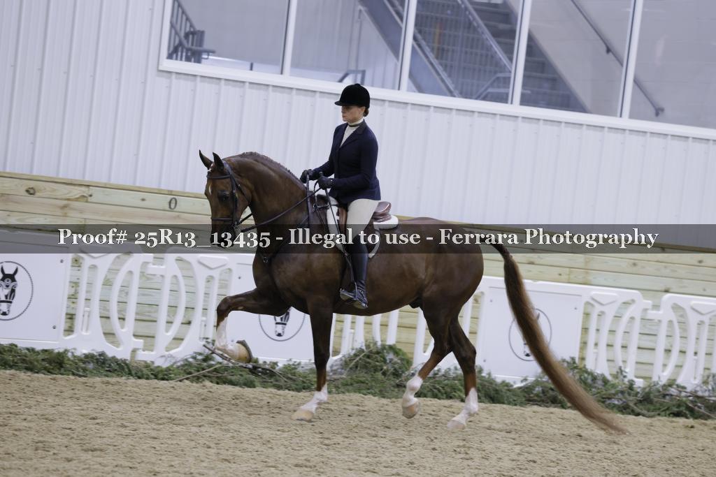 Proof Number 25R13_13435