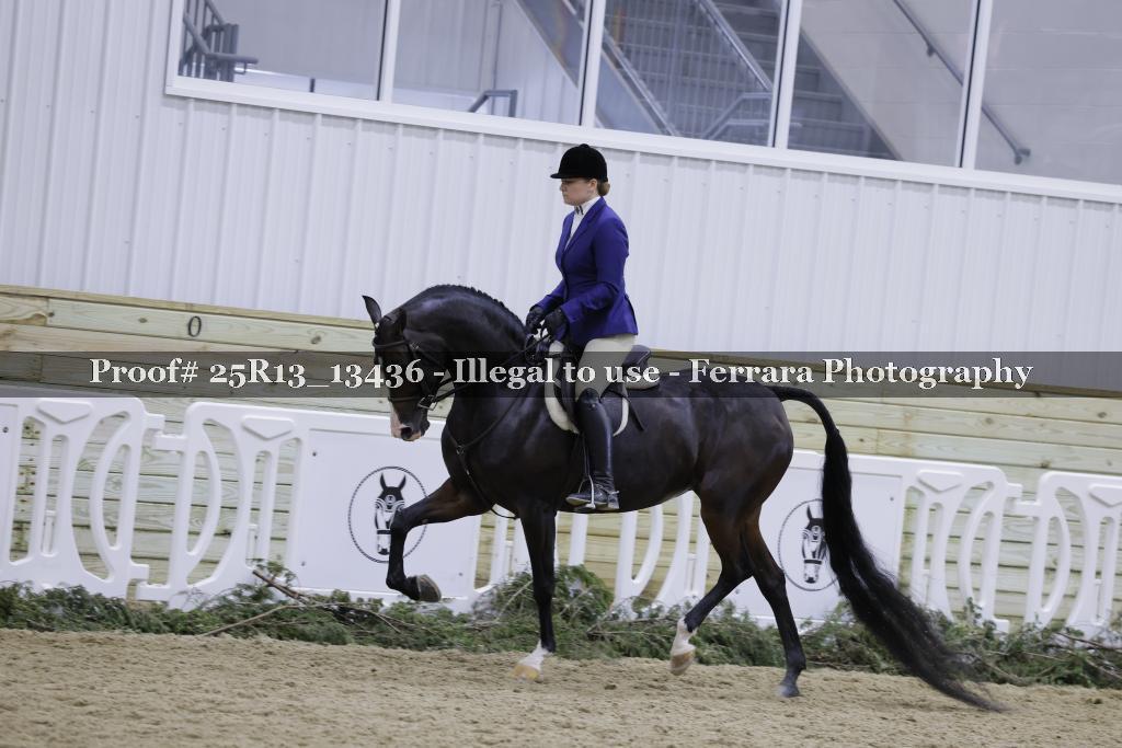 Proof Number 25R13_13436