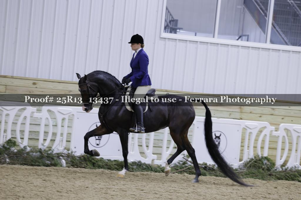 Proof Number 25R13_13437