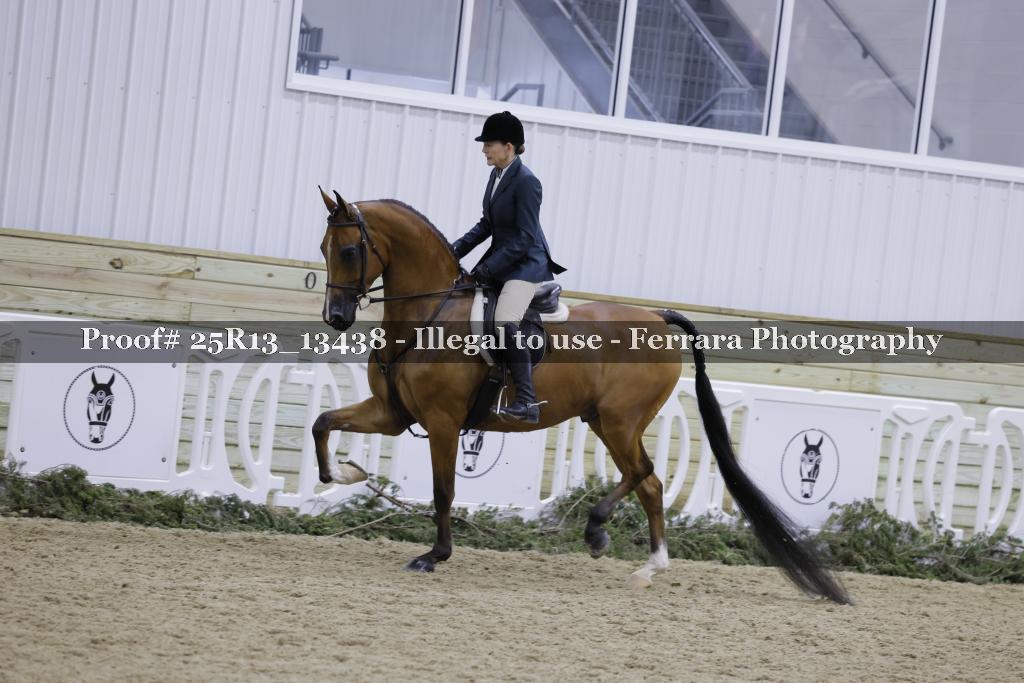 Proof Number 25R13_13438
