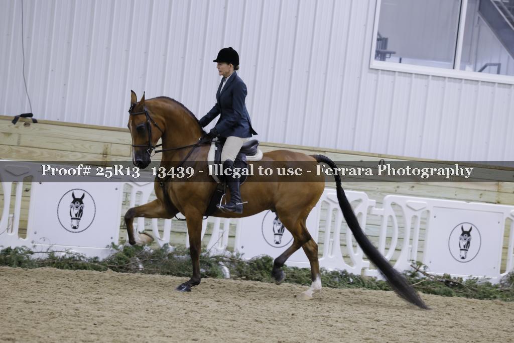 Proof Number 25R13_13439