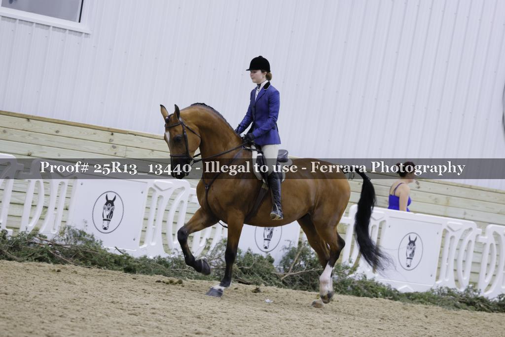 Proof Number 25R13_13440