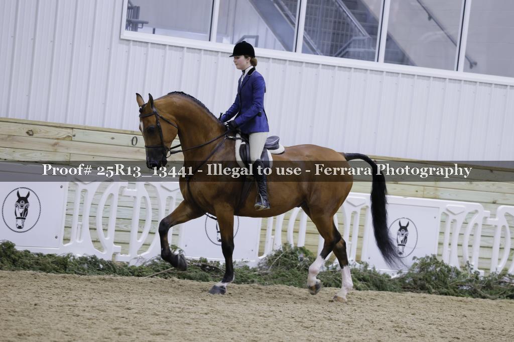 Proof Number 25R13_13441