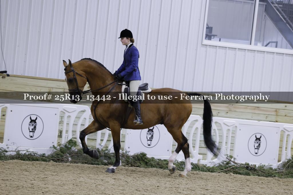 Proof Number 25R13_13442