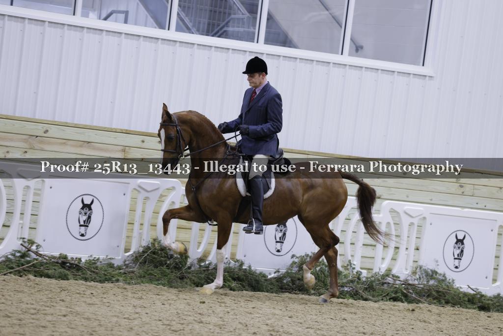 Proof Number 25R13_13443