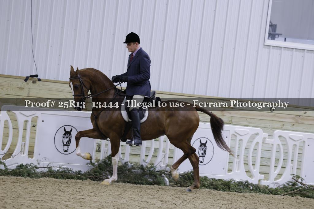 Proof Number 25R13_13444