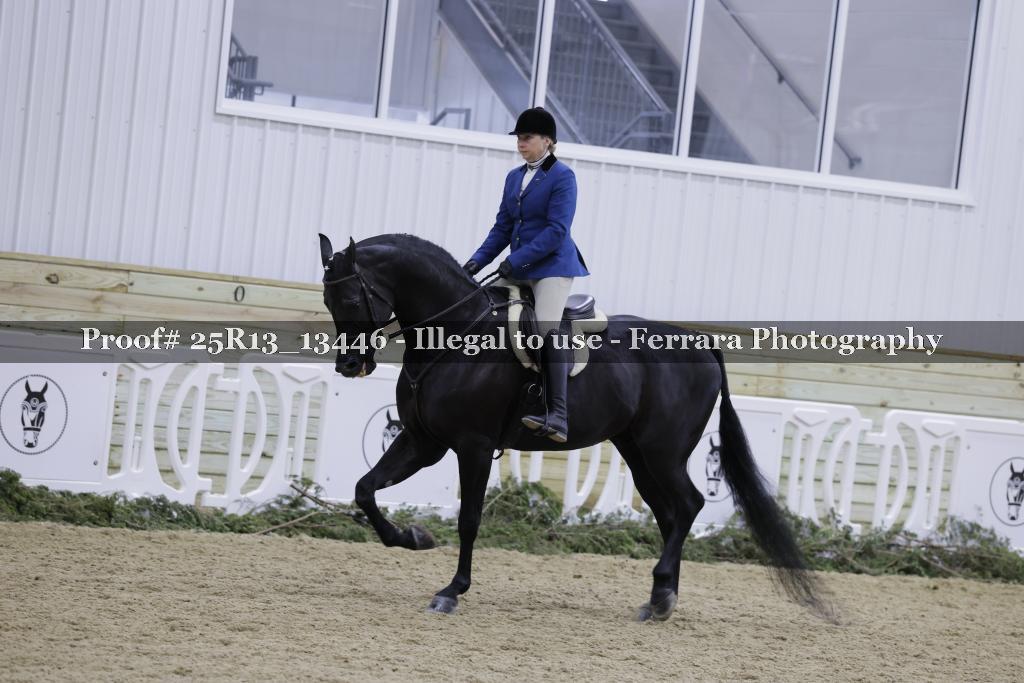 Proof Number 25R13_13446
