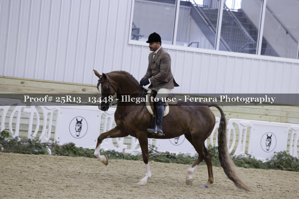 Proof Number 25R13_13448
