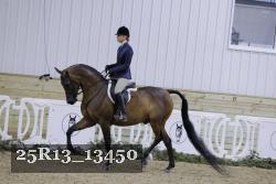 25R13_13450 thumbnail