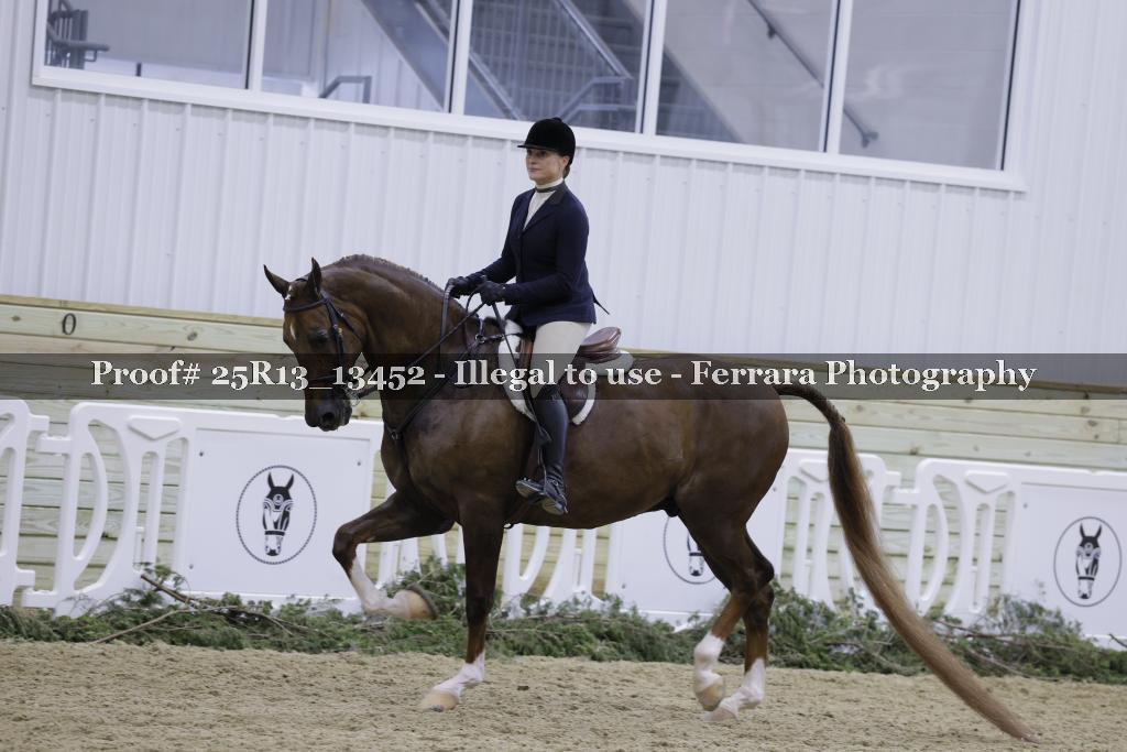 Proof Number 25R13_13452
