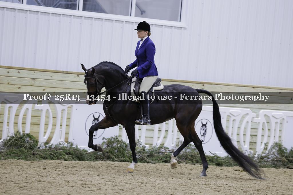 Proof Number 25R13_13454