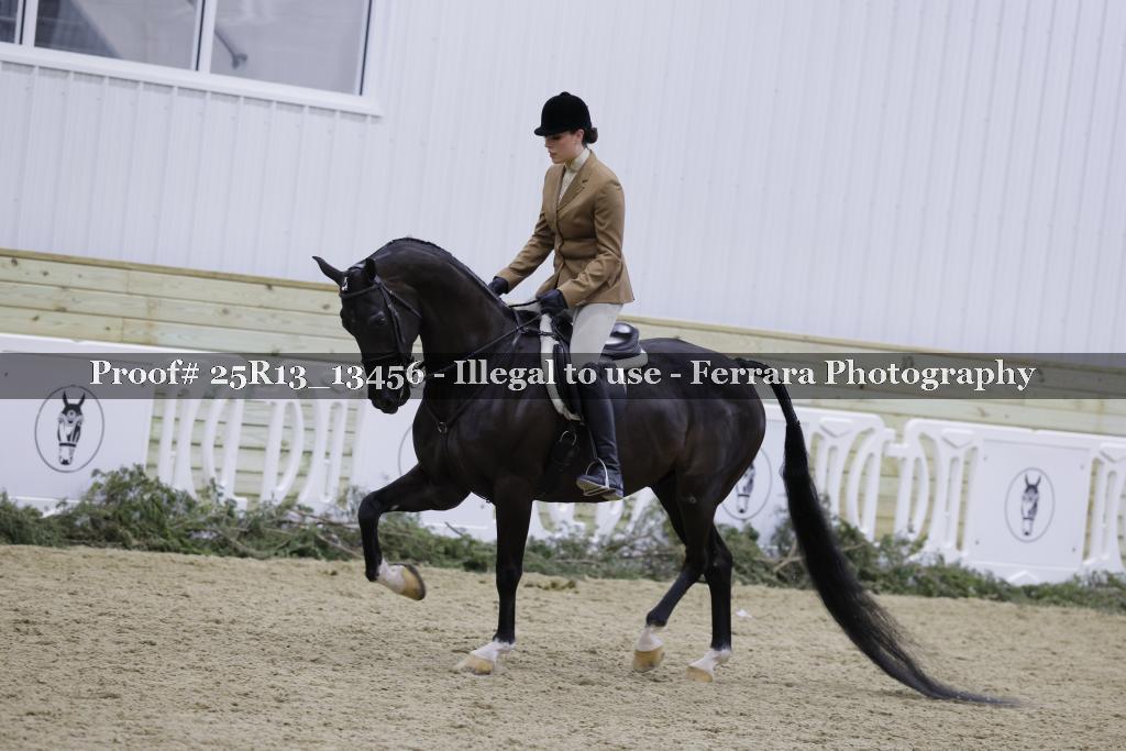 Proof Number 25R13_13456
