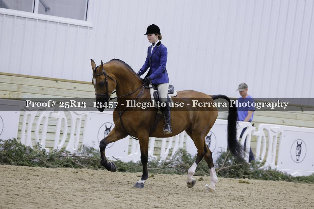 Proof Number 25R13_13457