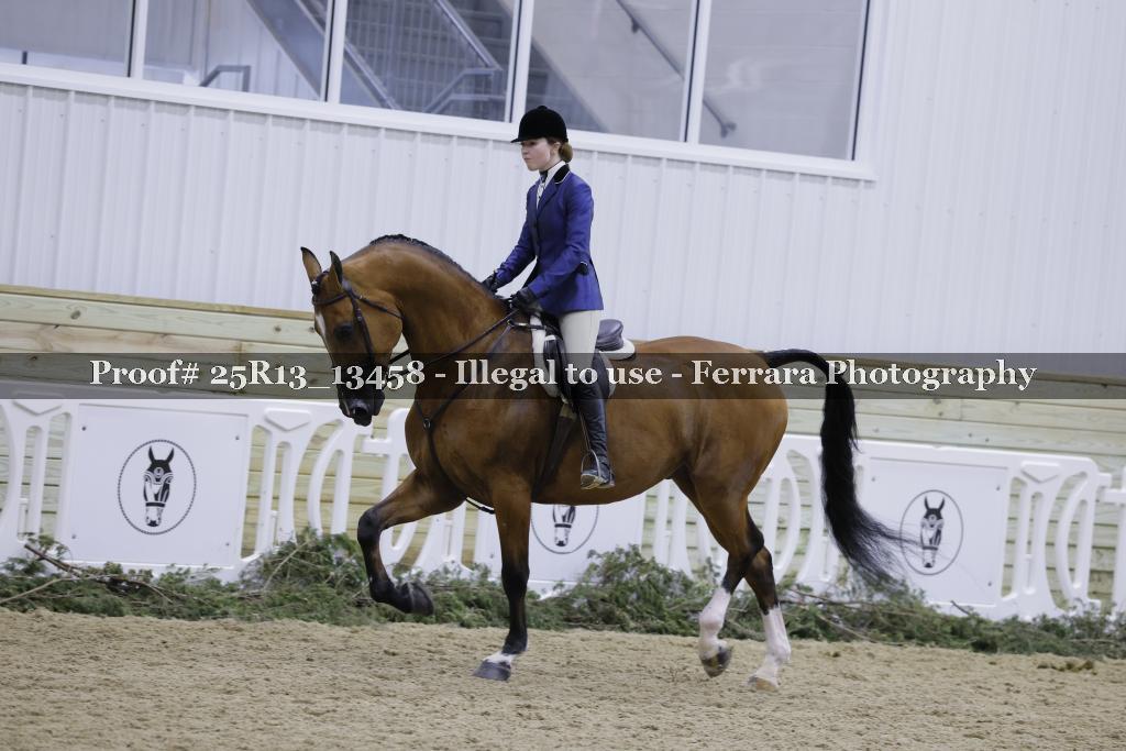 Proof Number 25R13_13458