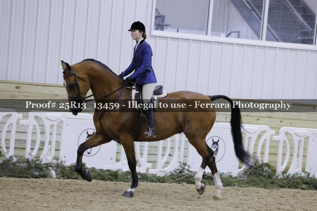 Proof Number 25R13_13459