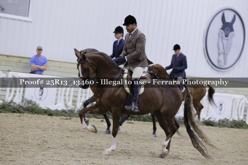 Proof Number 25R13_13460