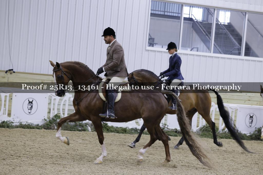 Proof Number 25R13_13461