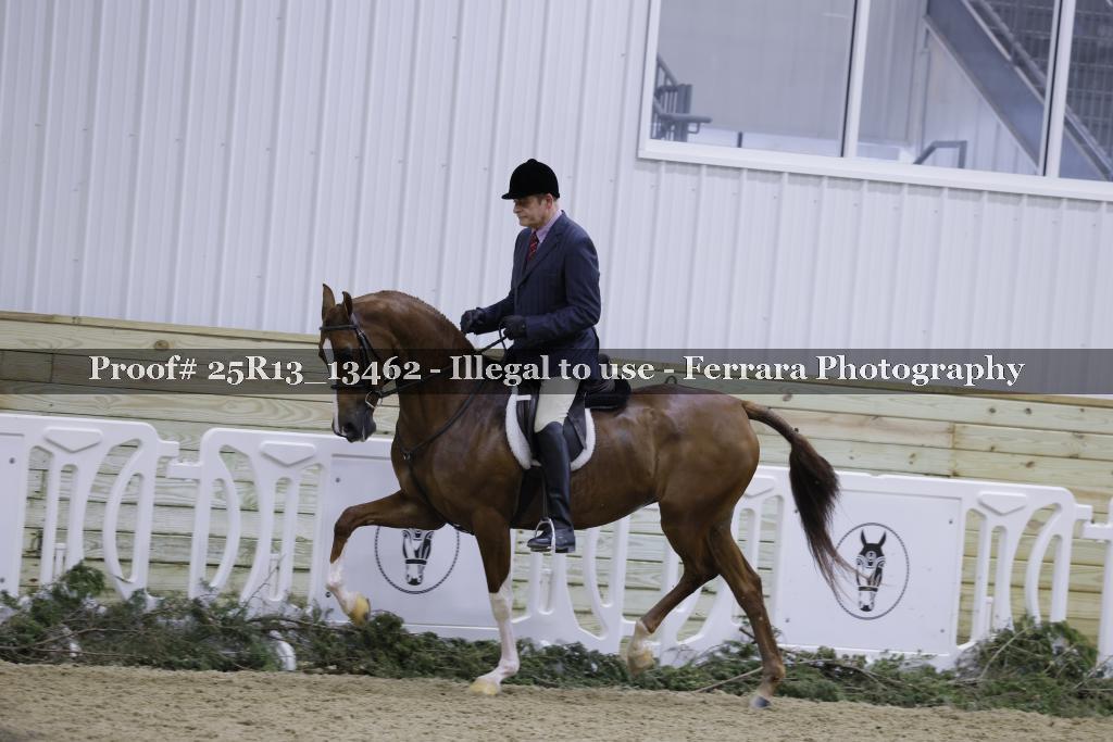 Proof Number 25R13_13462