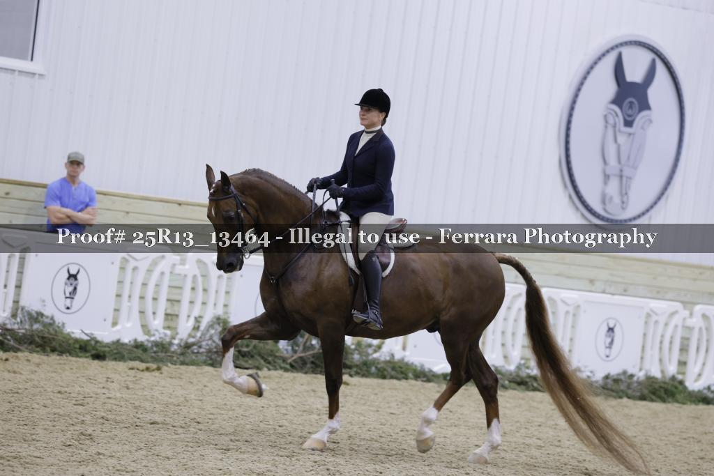 Proof Number 25R13_13464